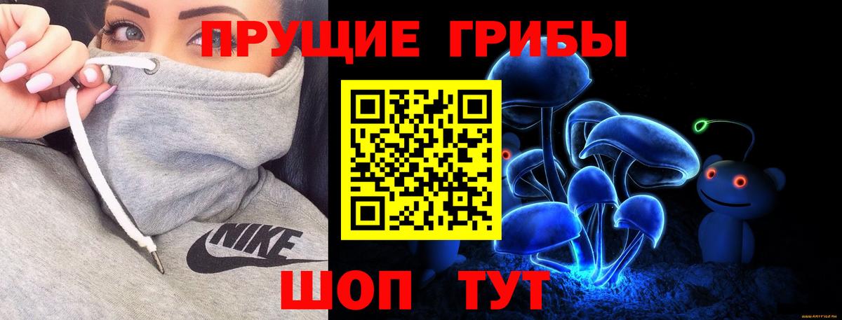 Псилоцибиновые грибы мицелий Шали
