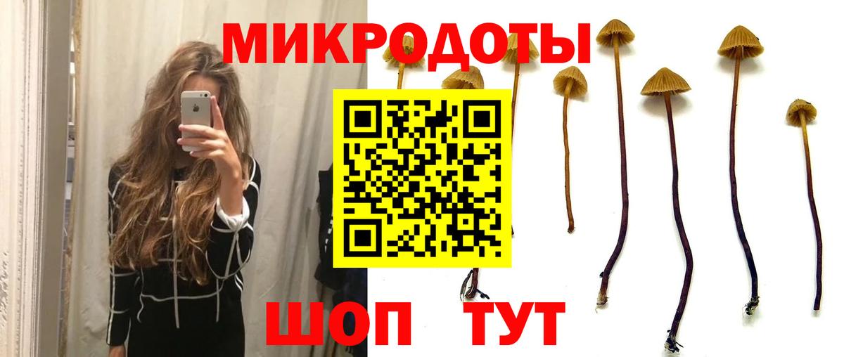 Шали  Псилоцибиновые грибы мухоморы  Вход с VPN 